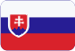 Francouzsko - český institut řízení Slovensky